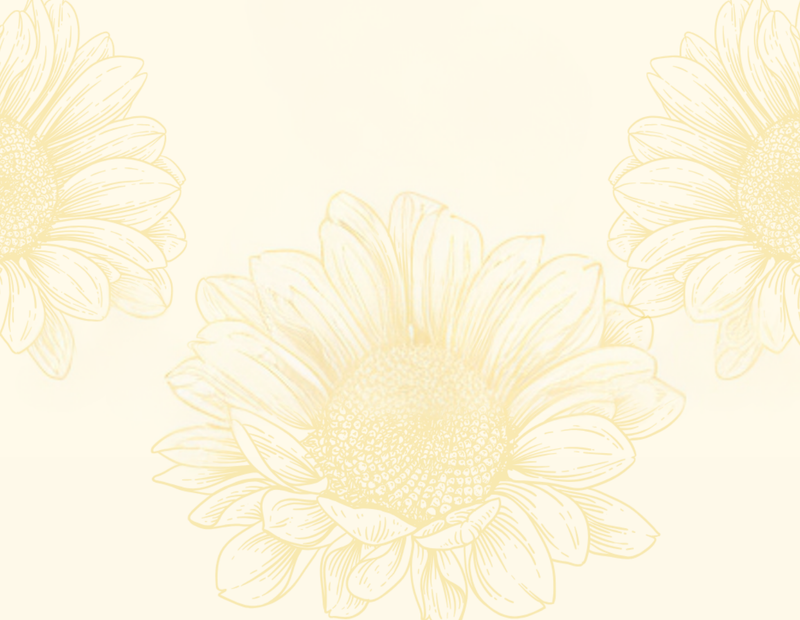 Angelie Sunshine Collection