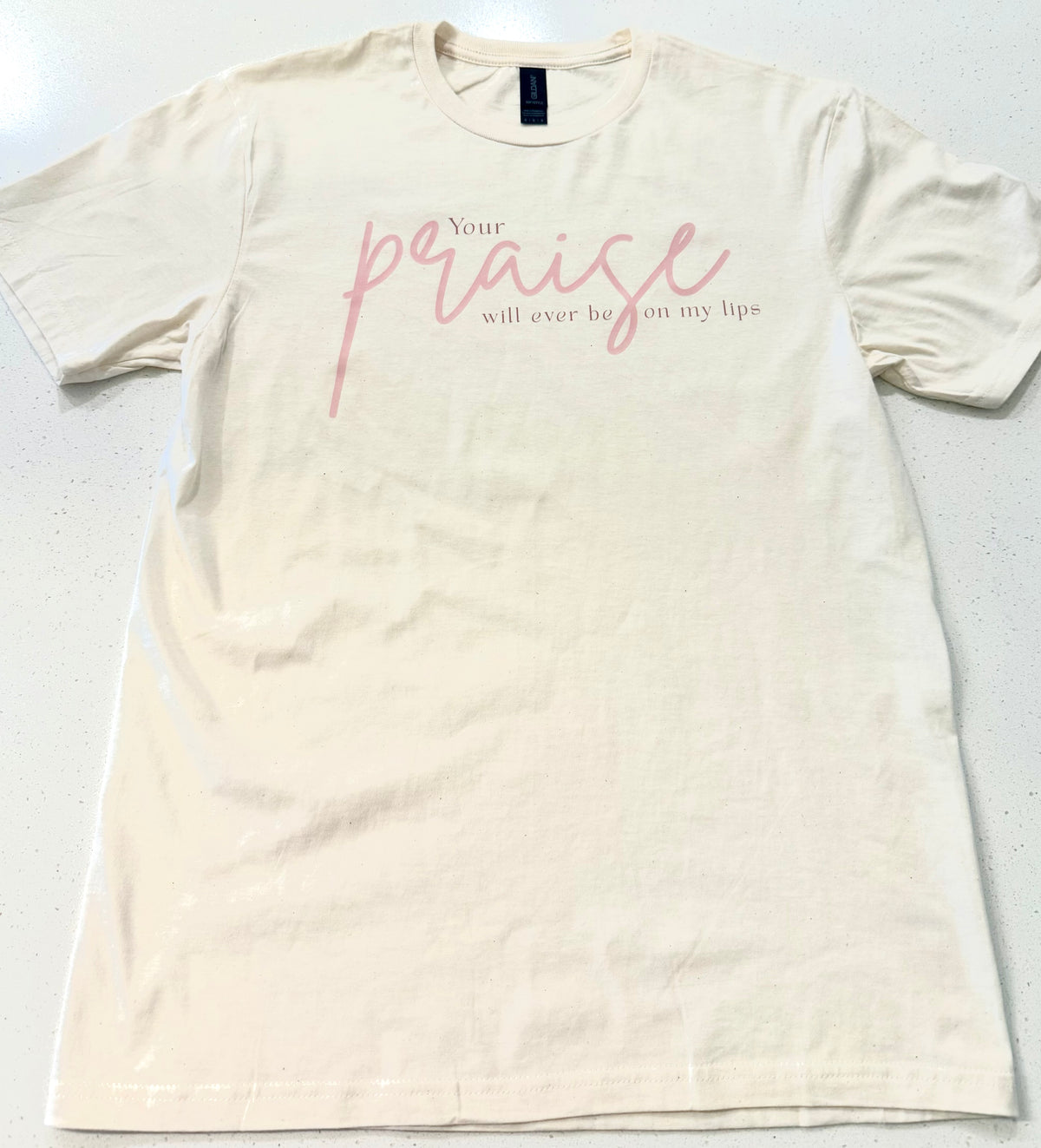 Praise T-Shirt